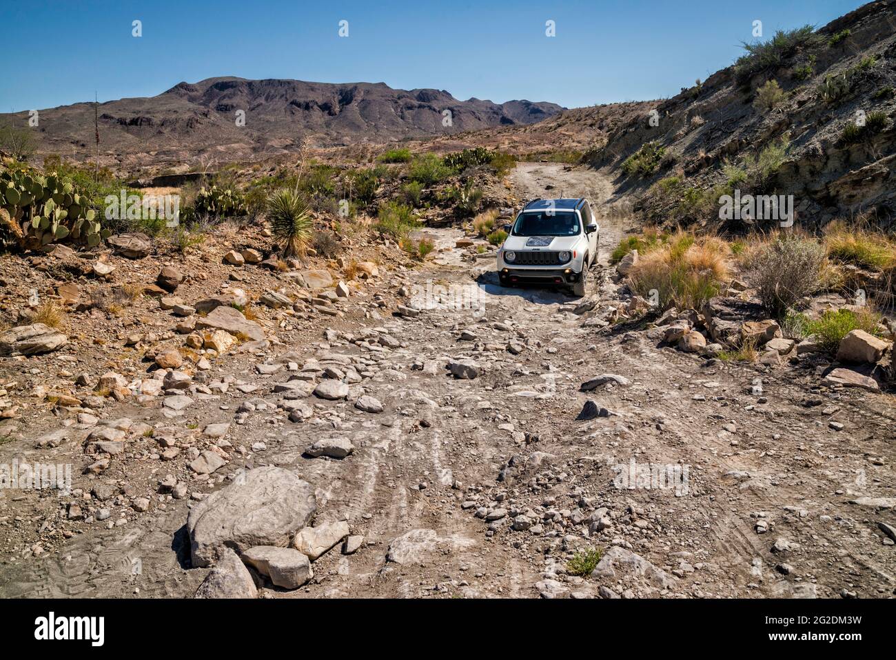 2017 Jeep Renegade Deserthawk at difficult rocky section of Black Gap