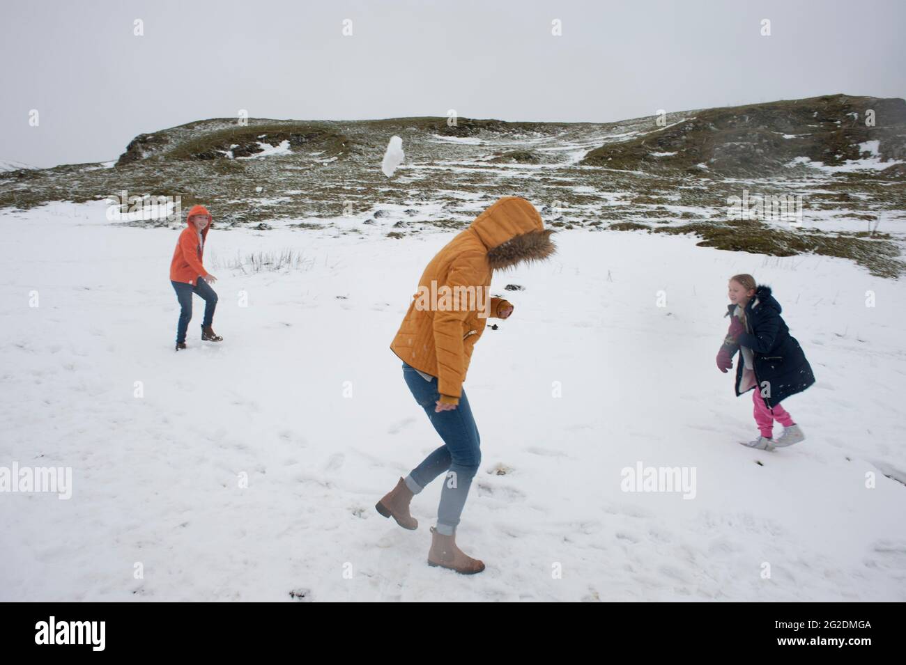 A family have fun in the cold snow which has settled on the ground. Stock Photo