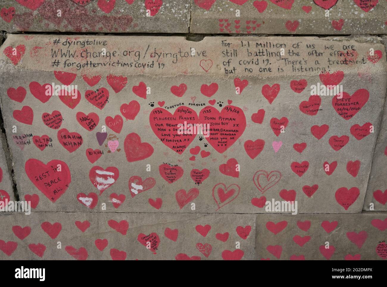 The National Covid Memorial Wall, a public mural painted by volunteers to commemorate victims of the COVID-19 pandemic in the United Kingdom. It is on the South Bank of the River Thames in London, opposite the Palace of Westminster, London, England, UK. Stock Photo