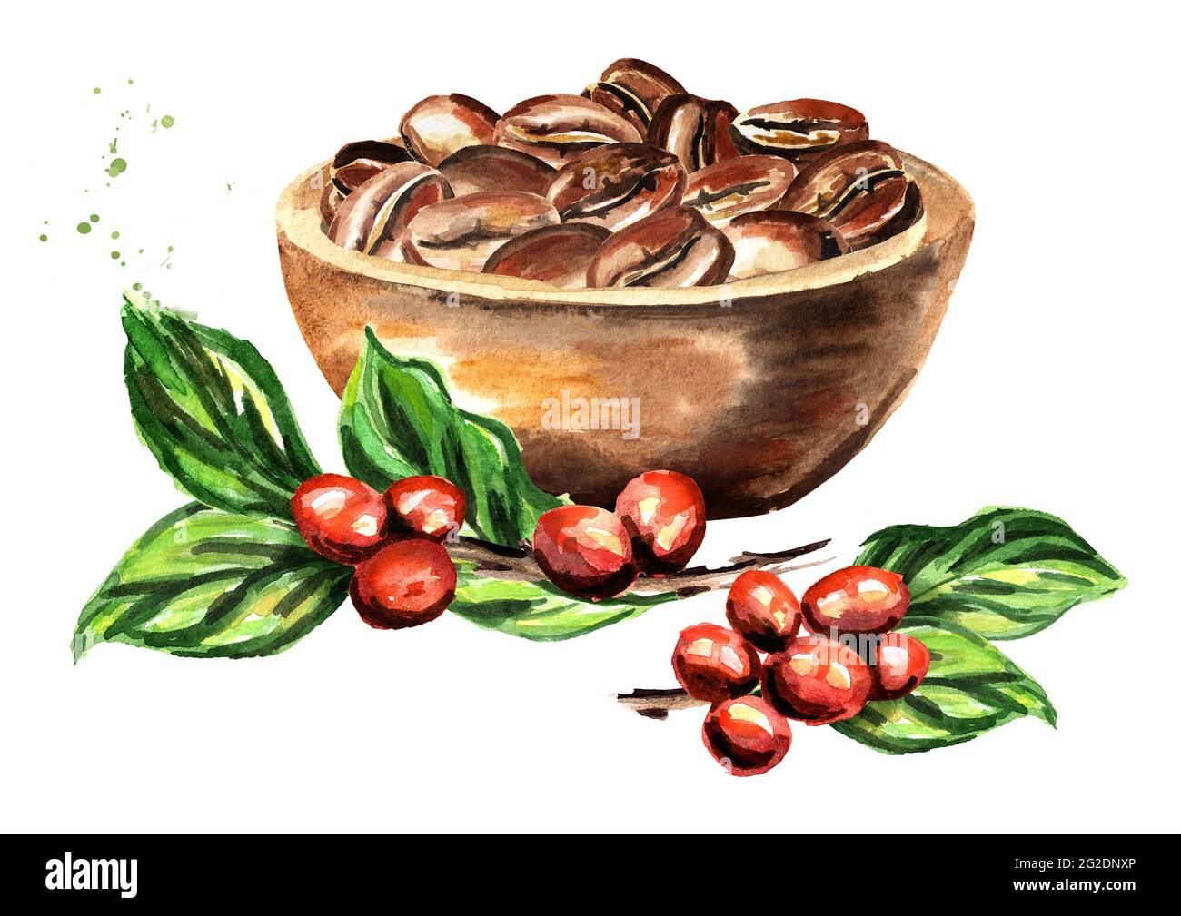 Bowl with Coffee beans and green branch. Watercolor hand drawn ...