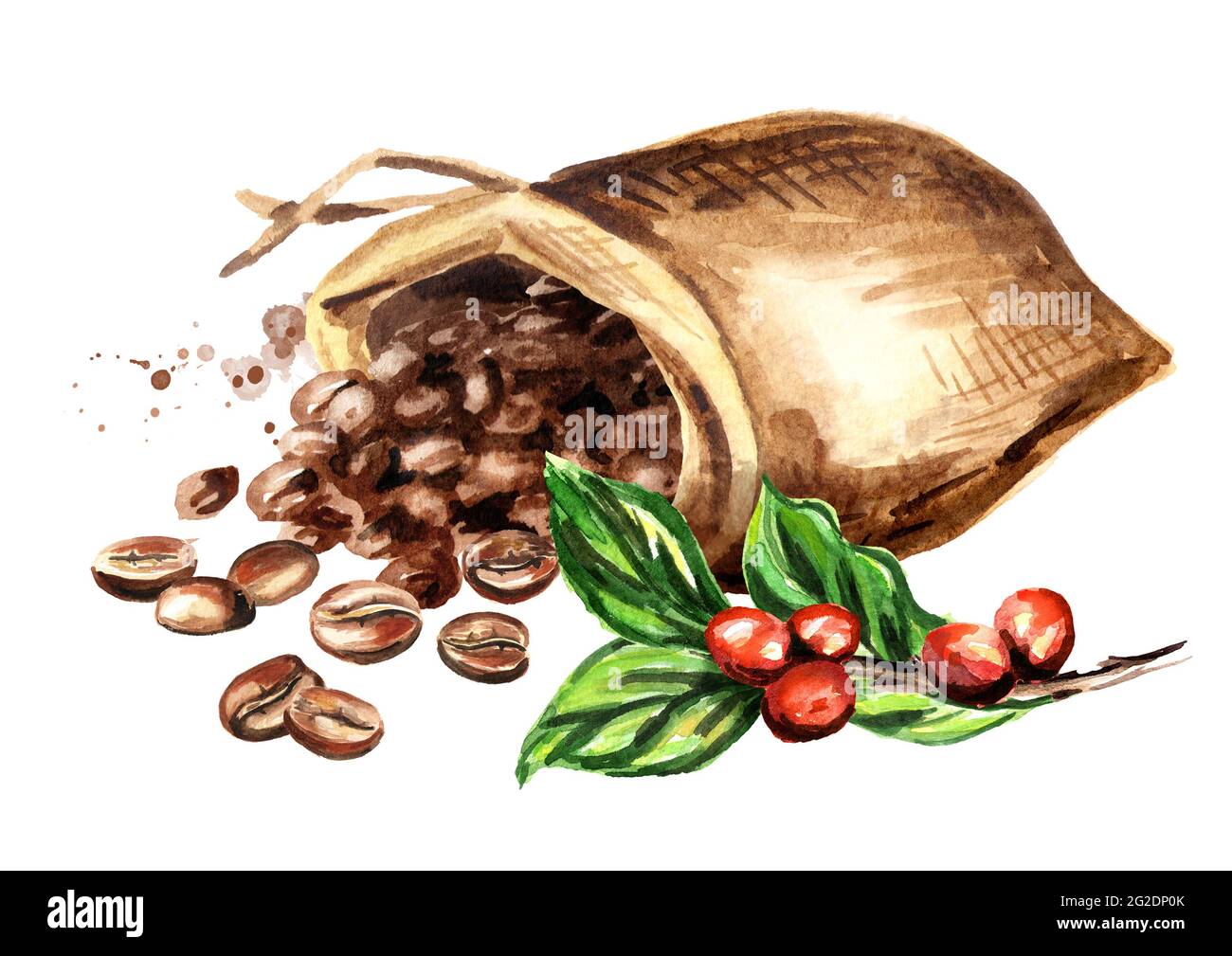 Sack of coffee beans and green coffee branch. Watercolor hand drawn ...