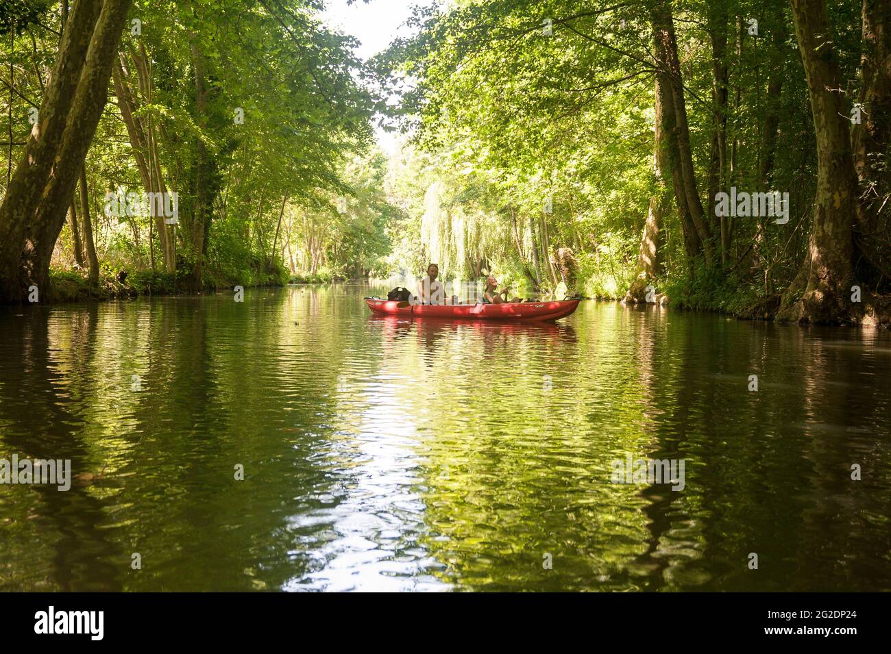 A family kayaks in Regional Natural Park of the Marais Poitevin on inflatable kayaks on a summer holiday in France Stock Photo