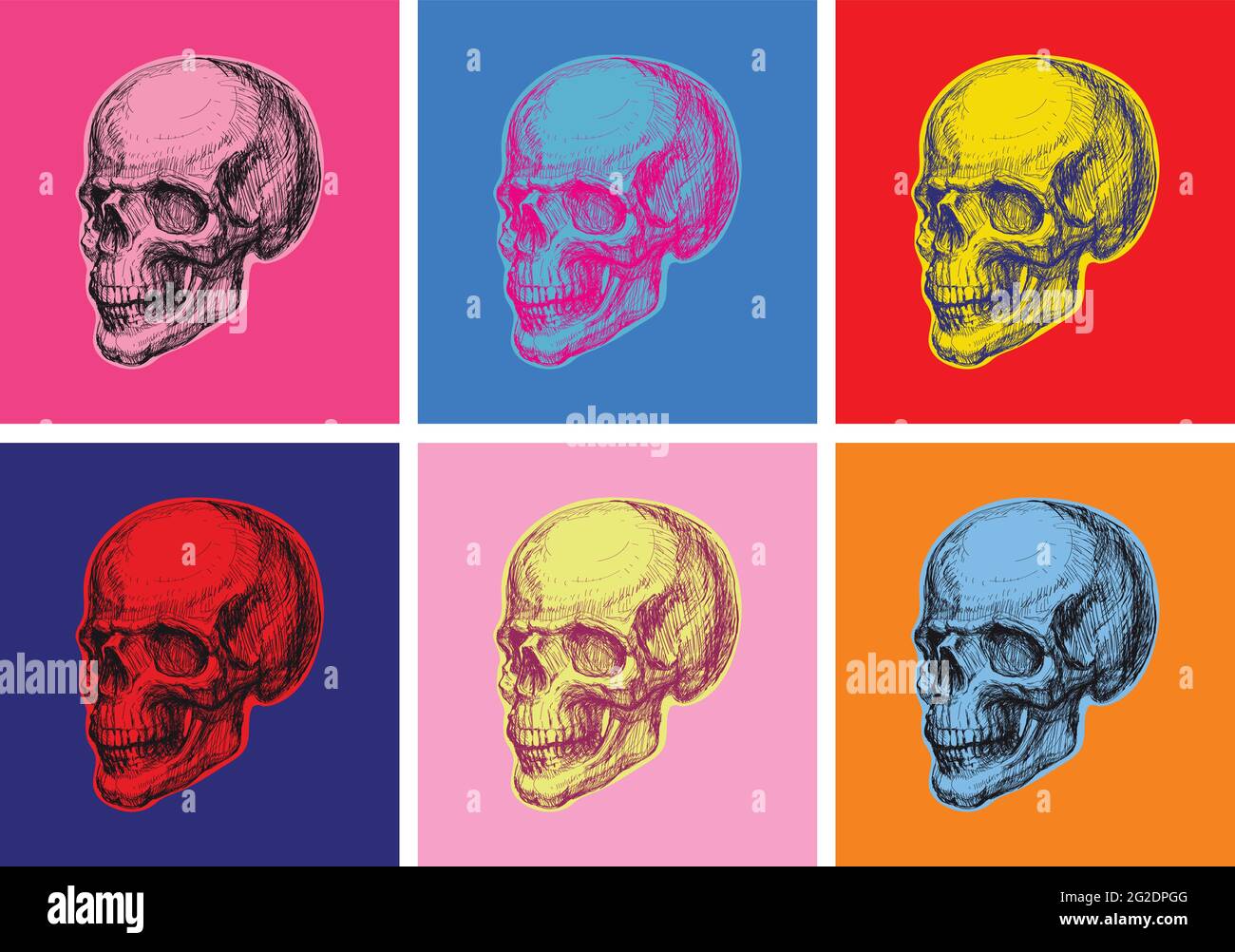 Hand Drawn Human Skull Hand Drawn Sketch Vector illustration Stock ...