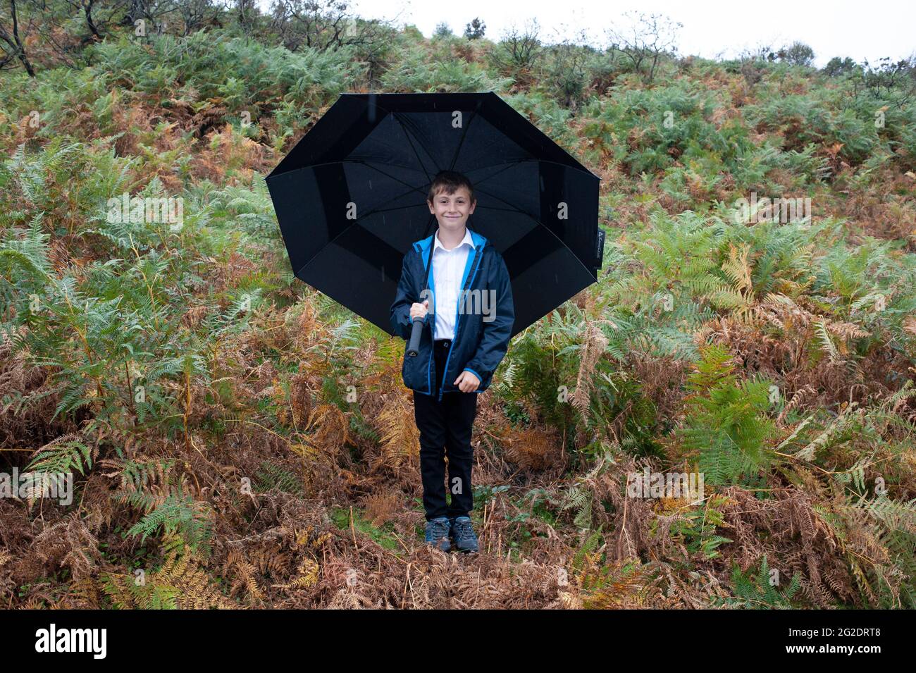 A young boy stands in the rain holding a big umbrella in the New Forest. Stock Photo
