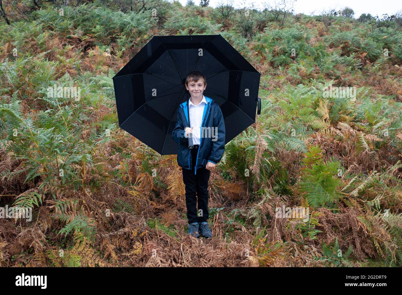 A young boy stands in the rain holding a big umbrella in the New Forest. Stock Photo