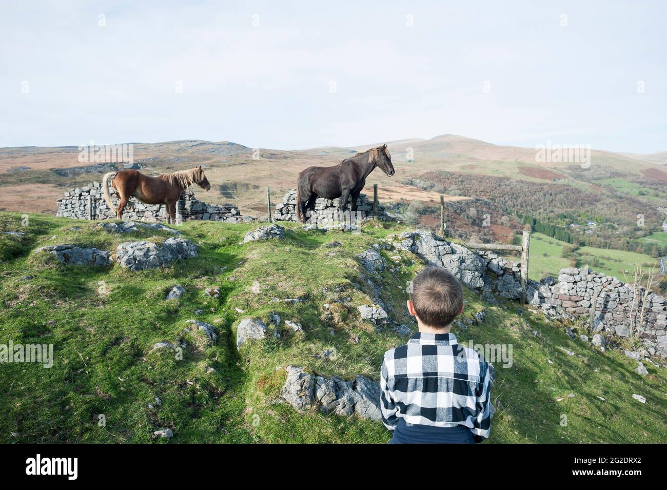 A family spends time exploring the countryside on a health walk in the ...