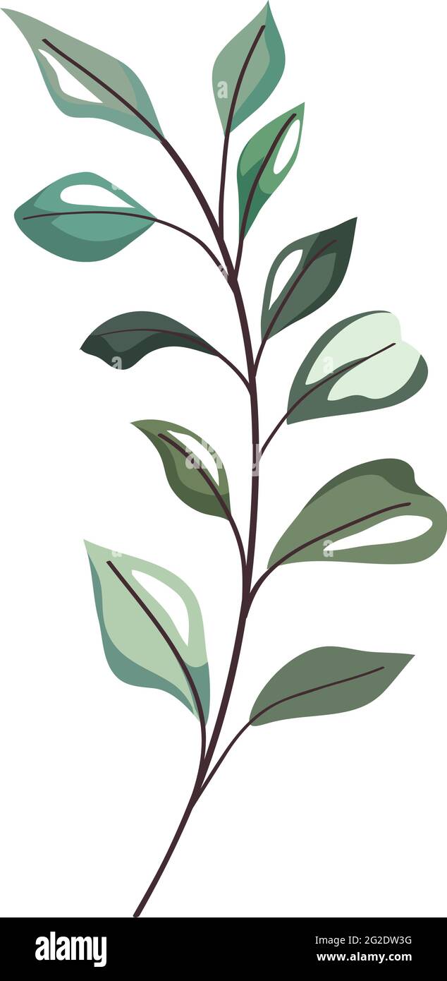 Isolated leaves icon Stock Vector Image & Art - Alamy