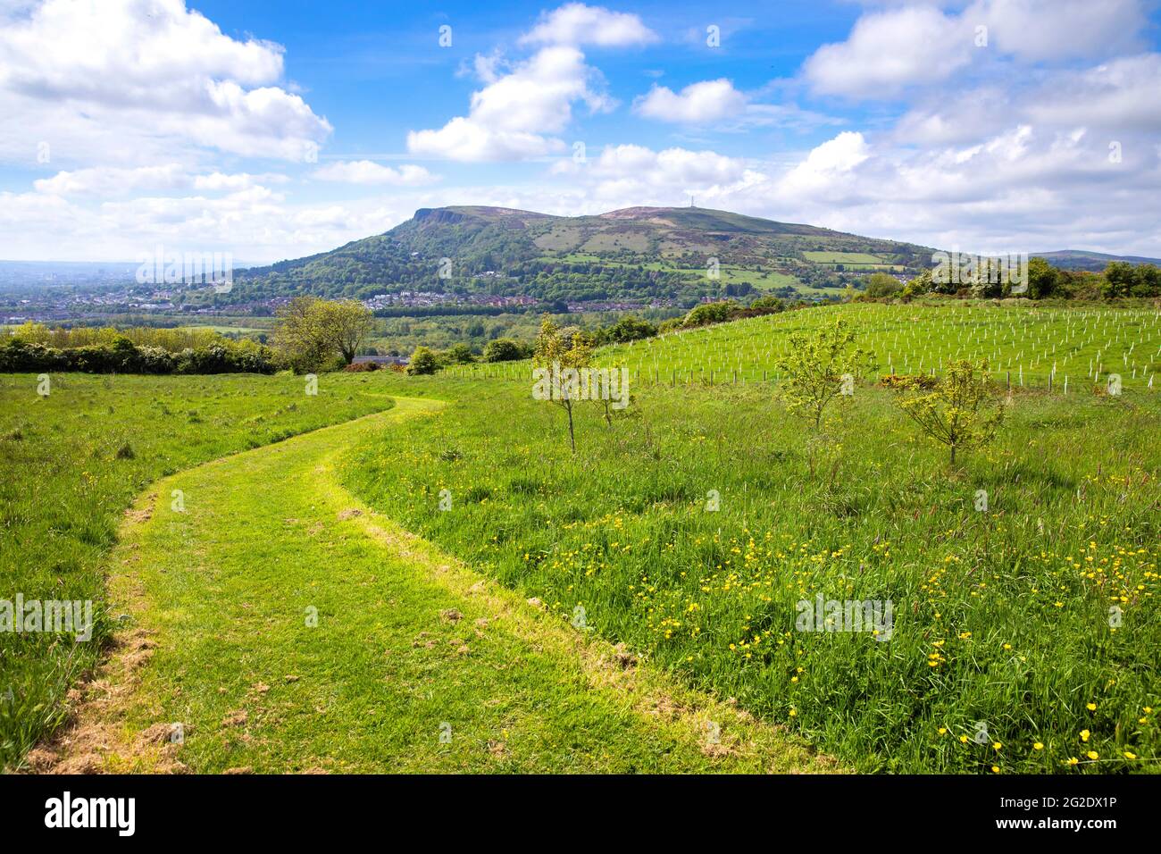 Cave Hill from Carnmoney Hill, Belfast Stock Photo