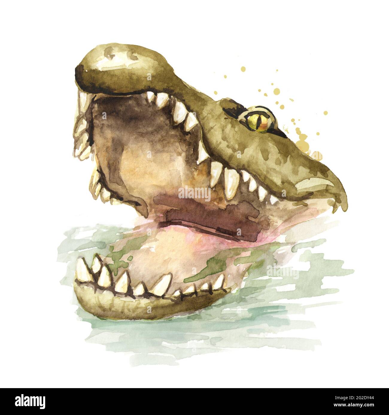 alligator mouth drawing