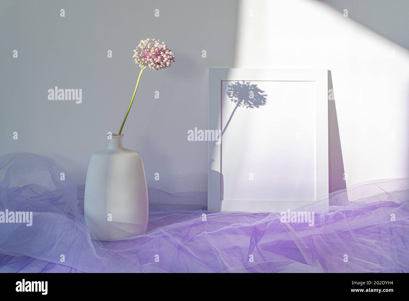 Empty white picture frame mockup. Modern and elegant vase with allium ampeloprasum flower in sunlight with long shadows. Minimal and white interior de Stock Photo