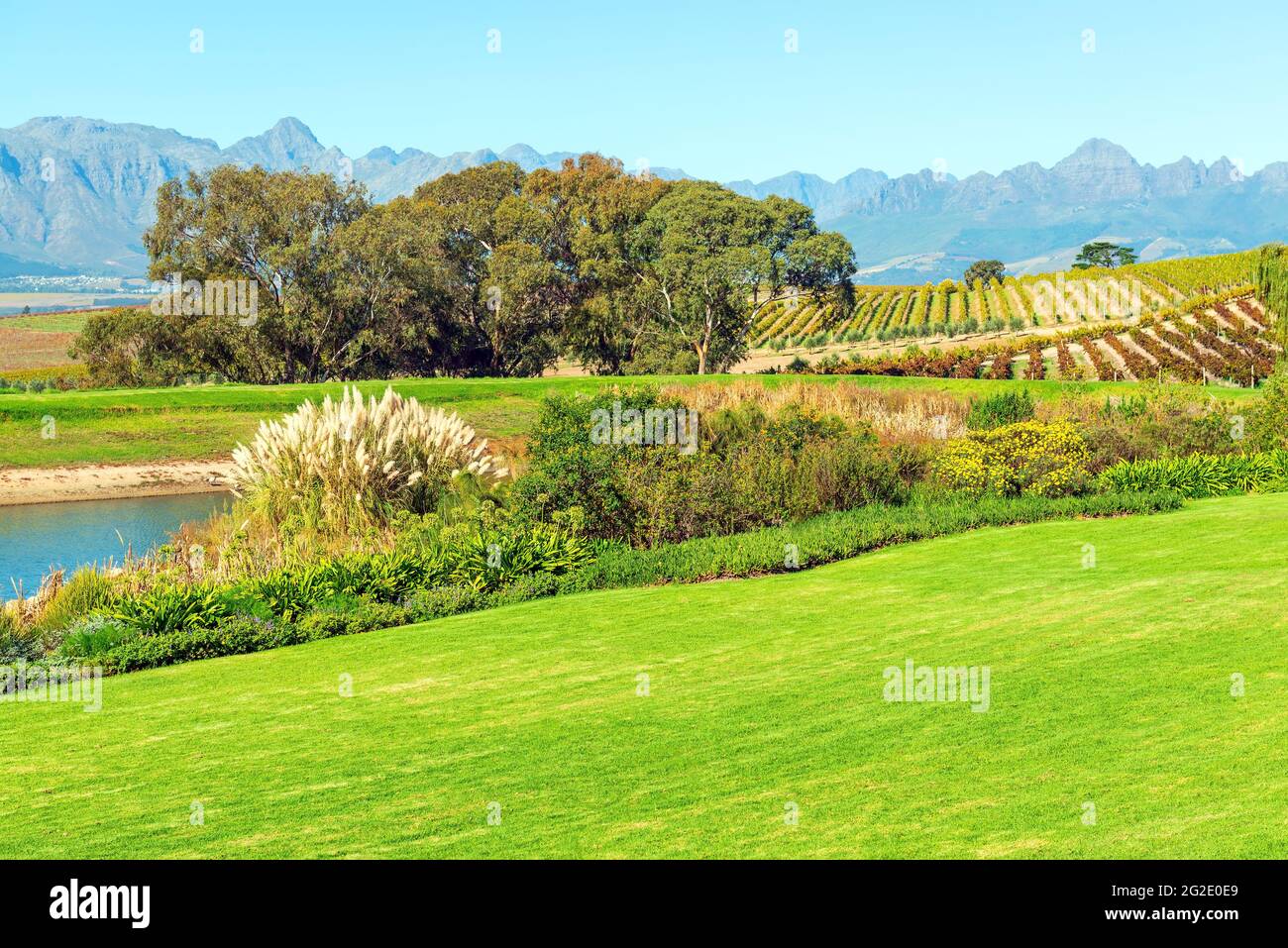 Vineyard landscape in the region of Stellenbosch and Paarl near Cape Town, South Africa. Stock Photo