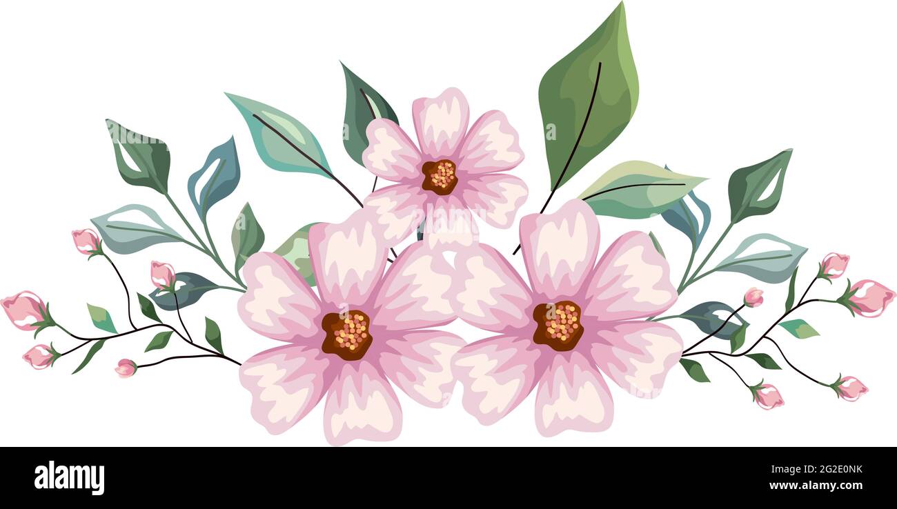light pink flowers with leaves crown Stock Vector Image & Art - Alamy