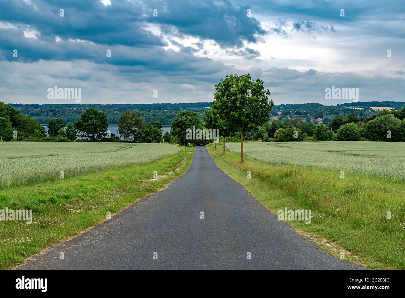Lonely tree road hi-res stock photography and images - Alamy