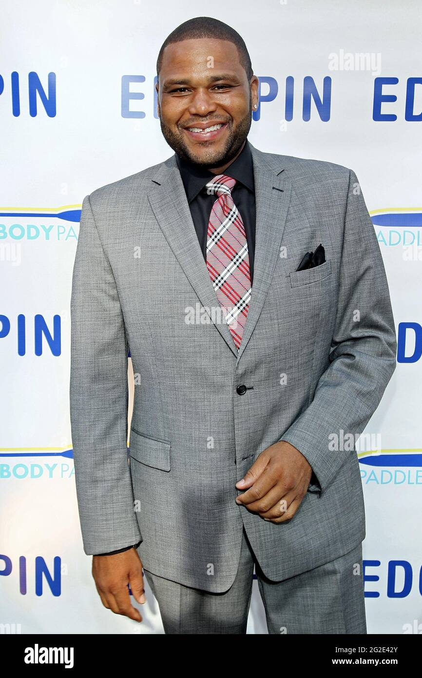 New York, NY, USA. 14 June, 2012. Anthony Anderson at the 2012 Evelyn Douglin Center For Serving People In Need's Vision & Voice Gala at City Winery. Credit: Steve Mack/Alamy Stock Photo