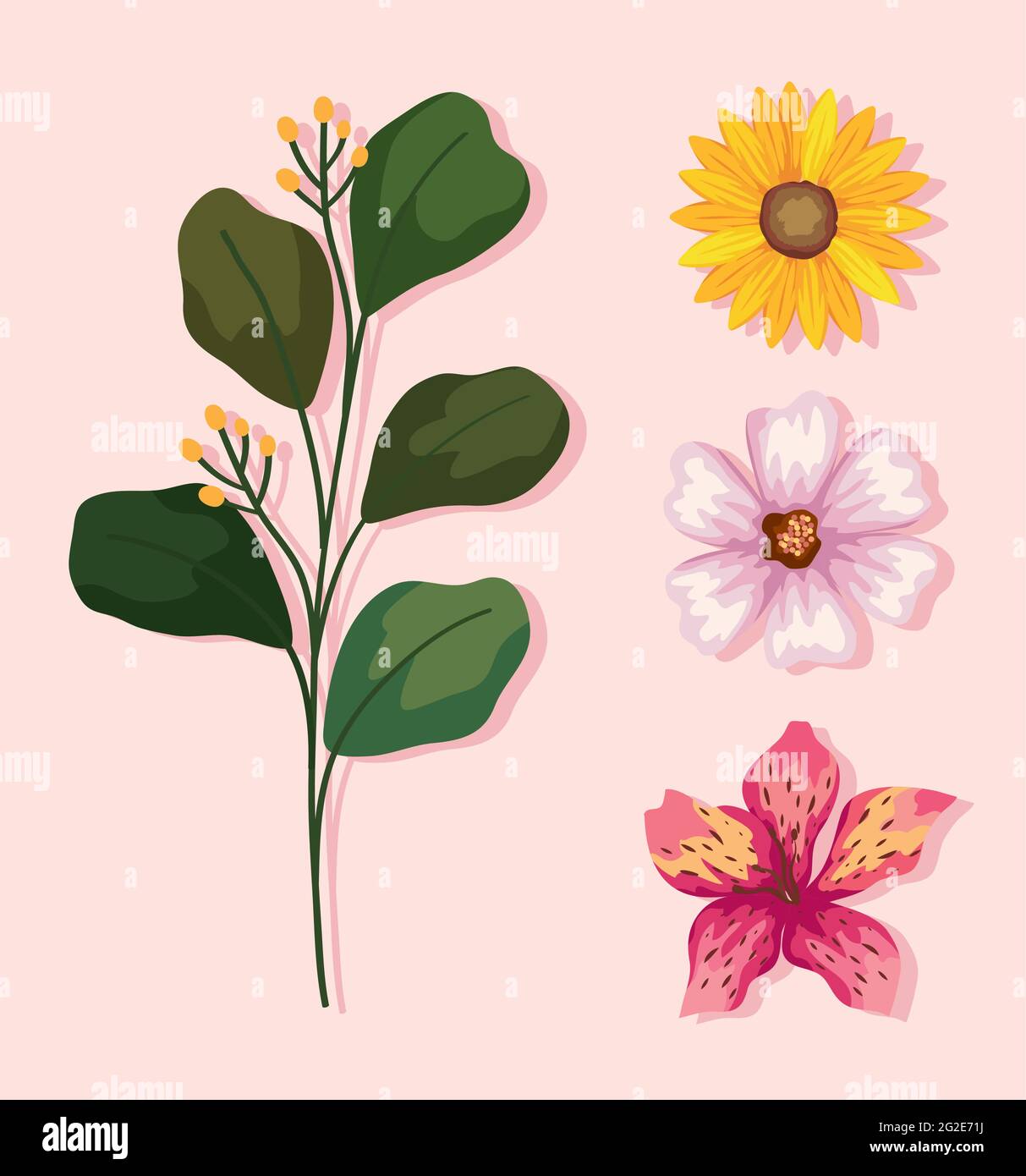 leaves and flowers set Stock Vector Image & Art - Alamy