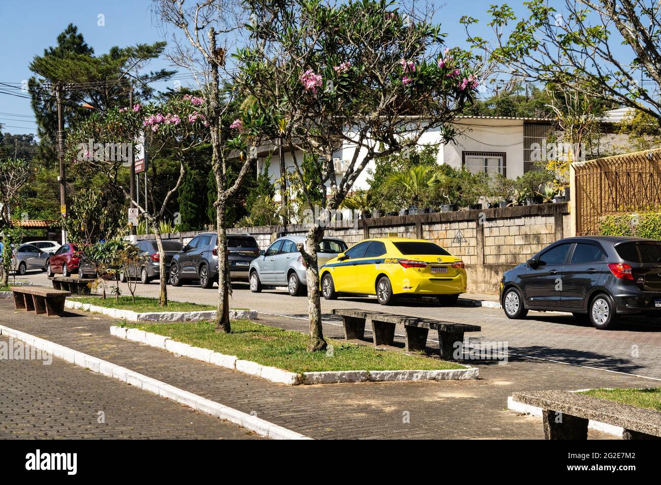 Cars parked in single line in front of some houses, benches and trees at Dona Olga de Oliveira street nearby Judite Fountain in Alto district. Stock Photo