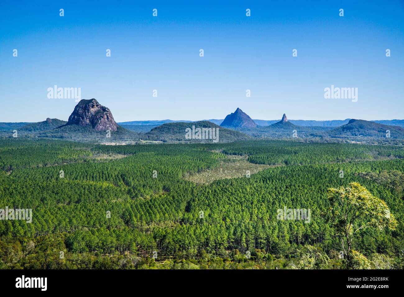 view of Mount Tibrogargan, Mount Beerwah and Mount Coonowrin, volcanic lava core peaks of the Glass House Mountains, seen from Wild Horse Mountain loo Stock Photo