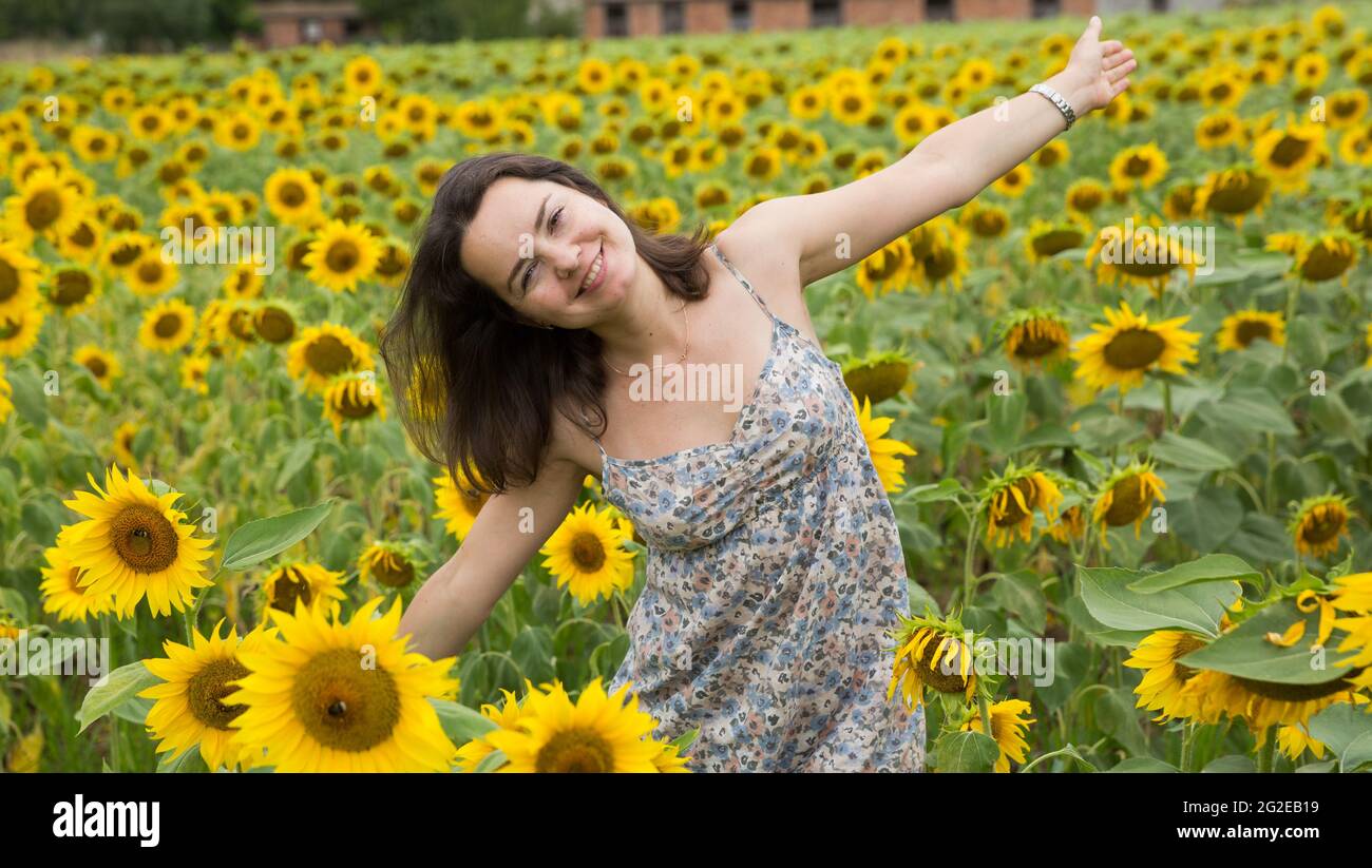 Girl in sunflowers field Stock Photo - Alamy
