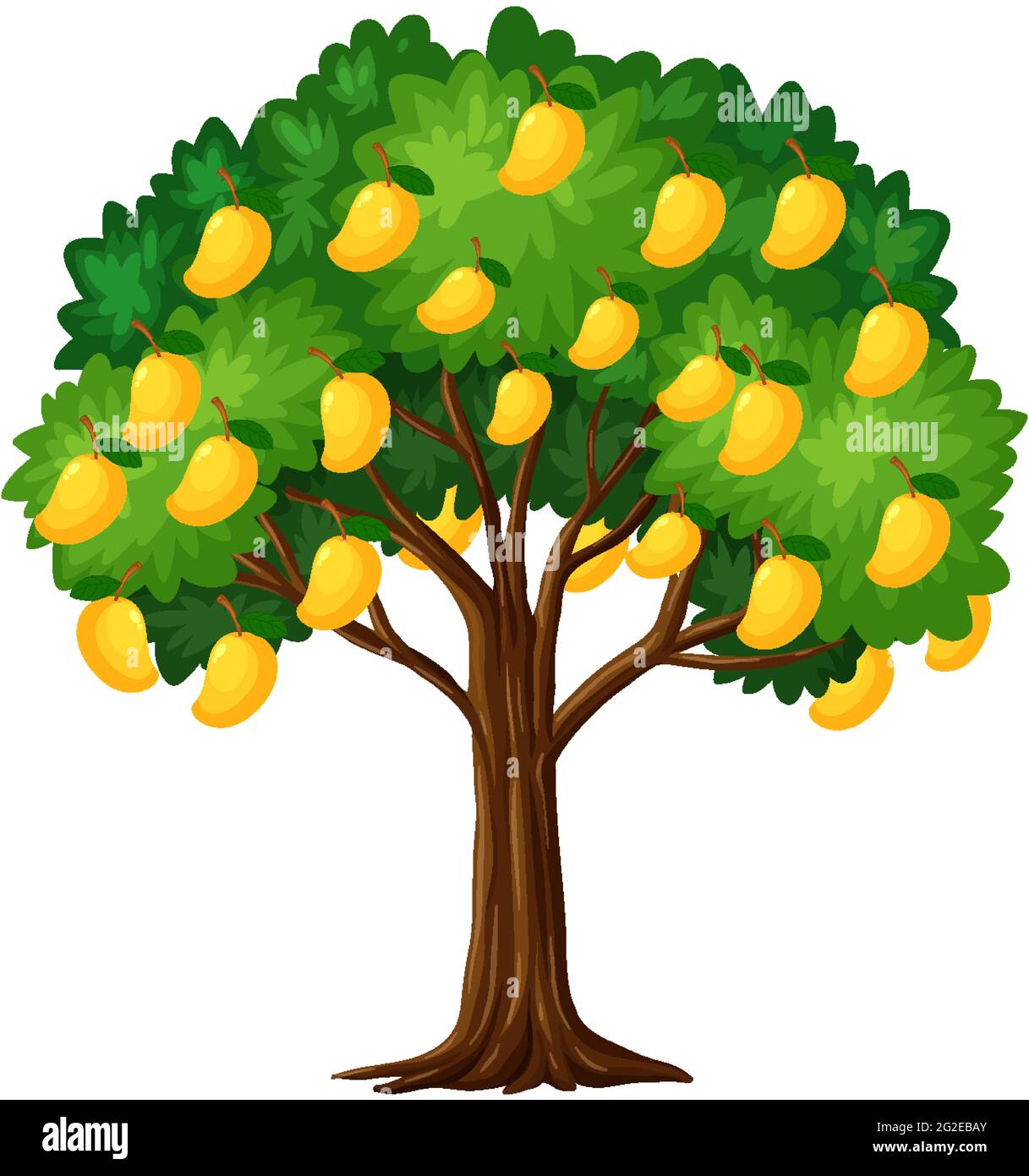 Yellow mango tree isolated on white background illustration Stock ...