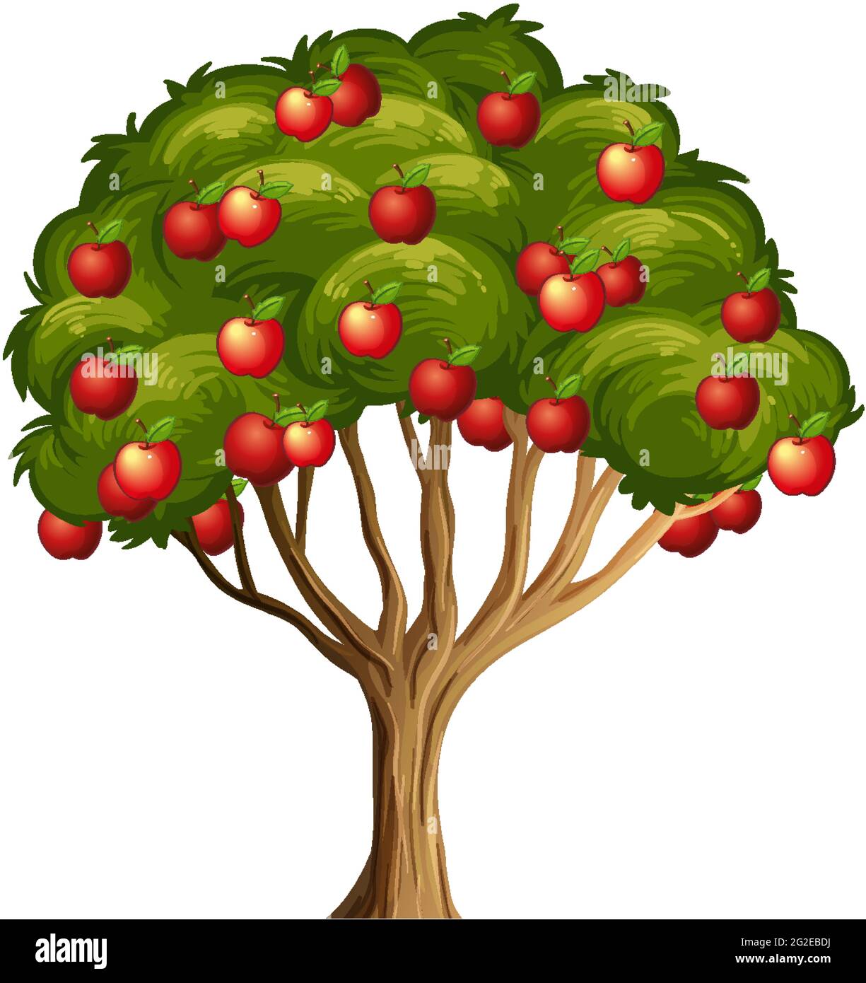 Red apples on a tree isolated on white background illustration Stock ...