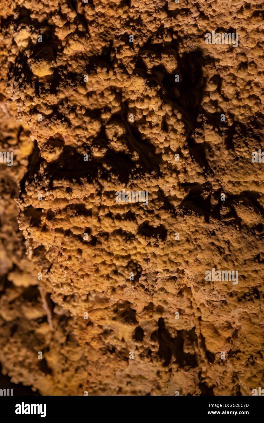 Cave popcorn formations in Wind Cave, Wind Cave National Park, South ...