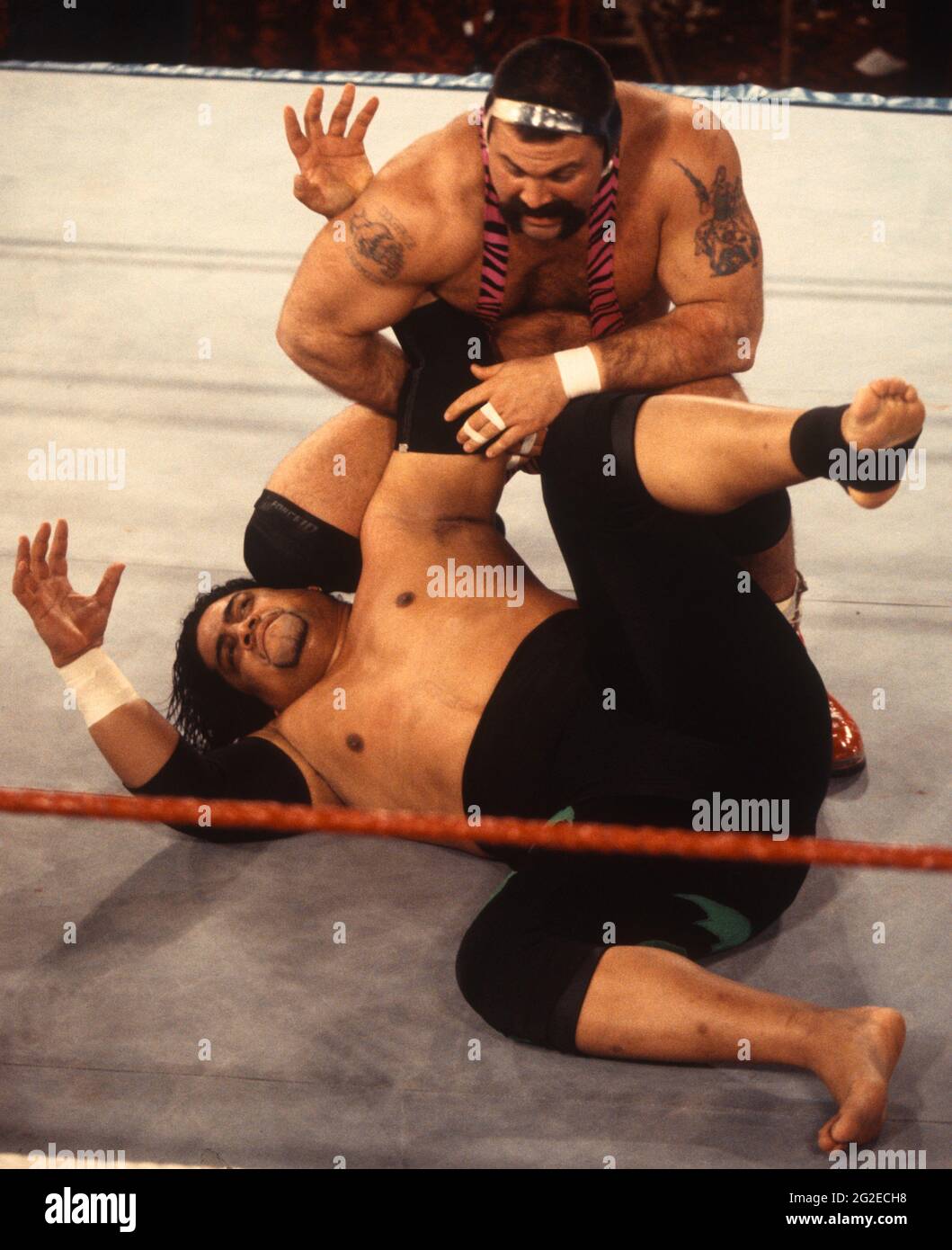 Rick Steiner Headhunters 1993                                                 Photo By John Barrett/PHOTOlink Stock Photo