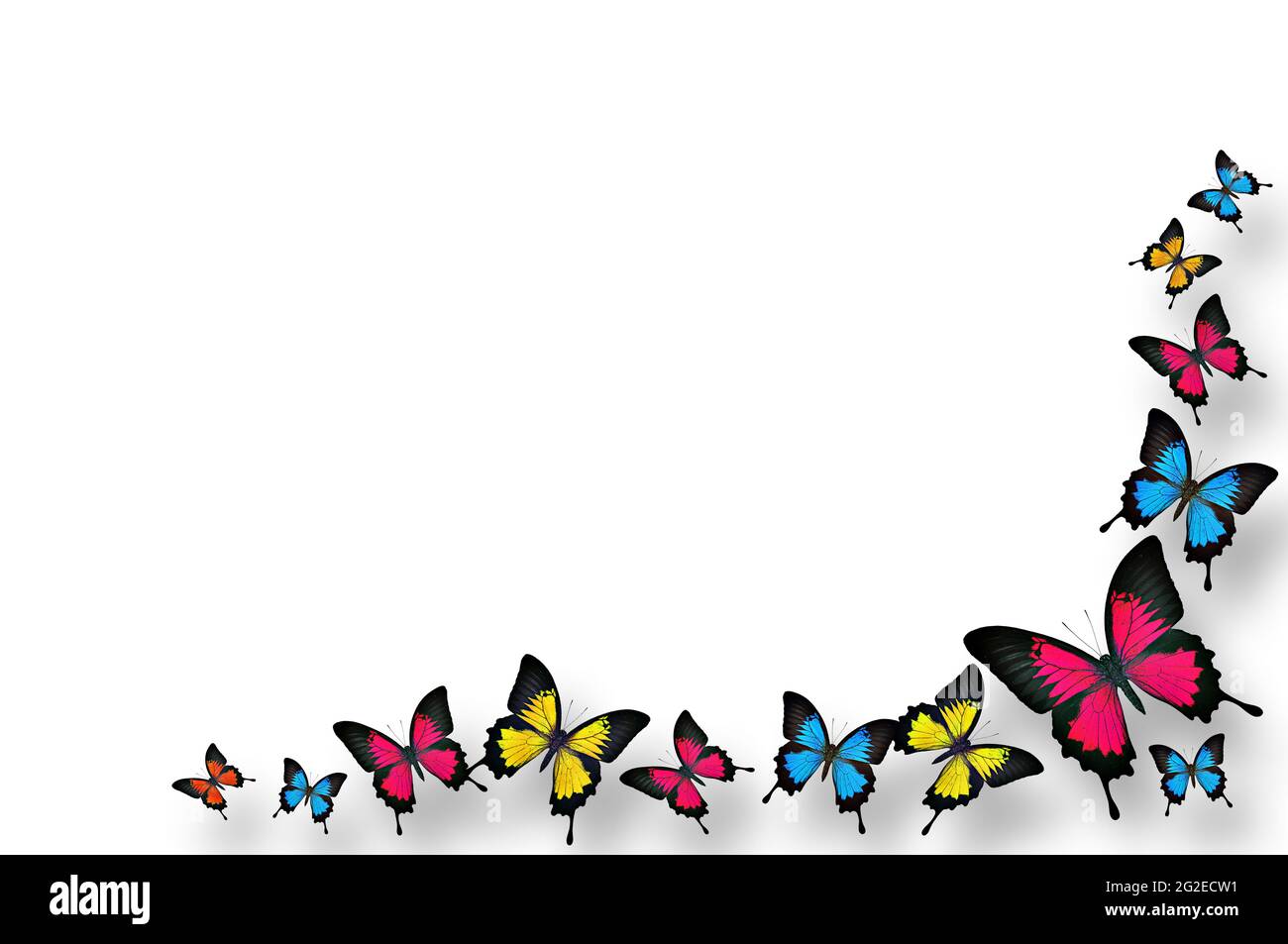 Easy Butterfly Front Page Border Design For Project B - vrogue.co