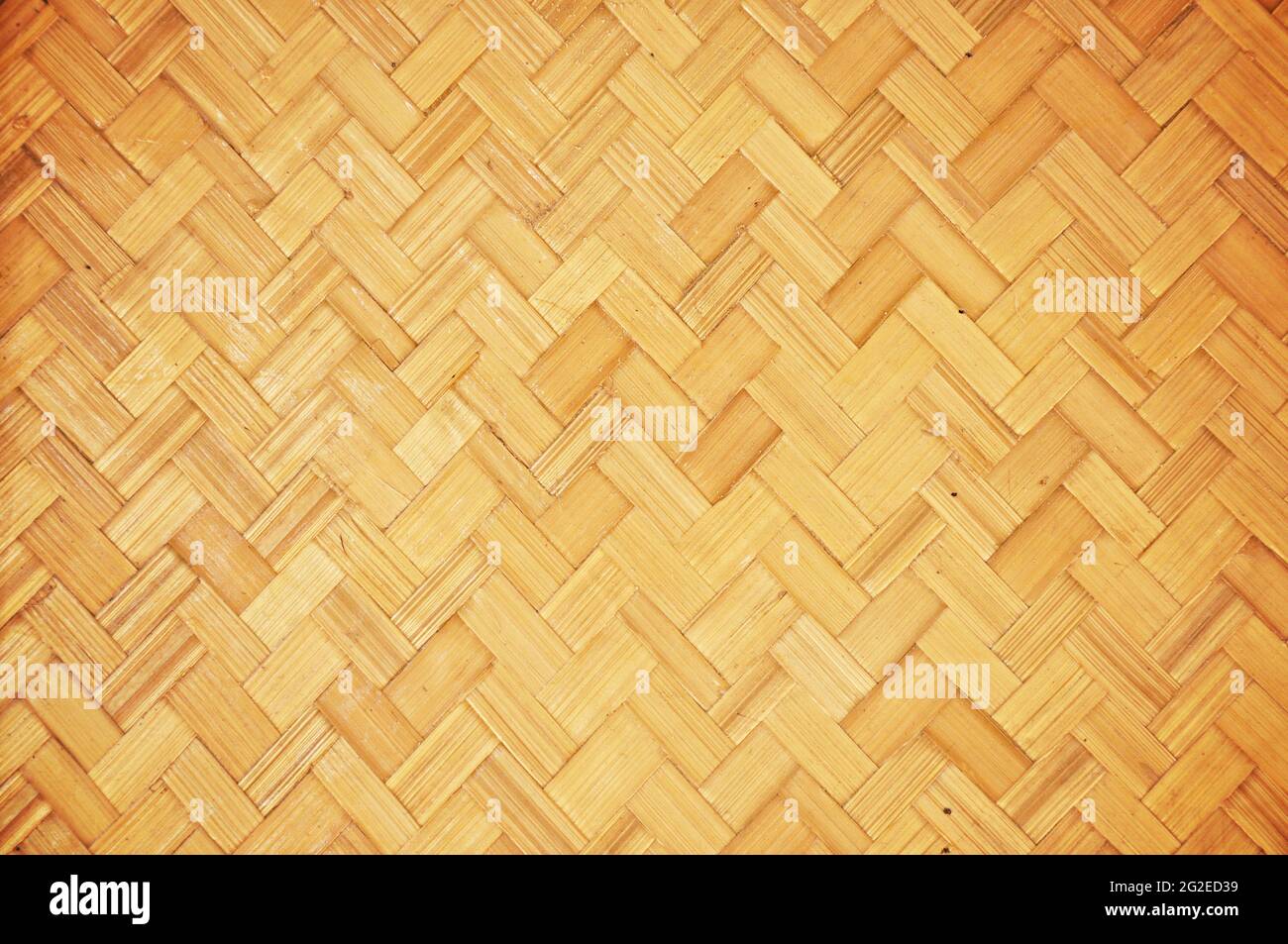 bamboo abtract Stock Photo