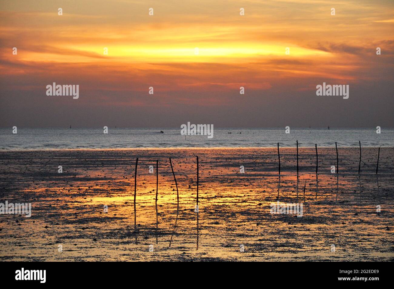 Evening scene of wetland seacoast Stock Photo