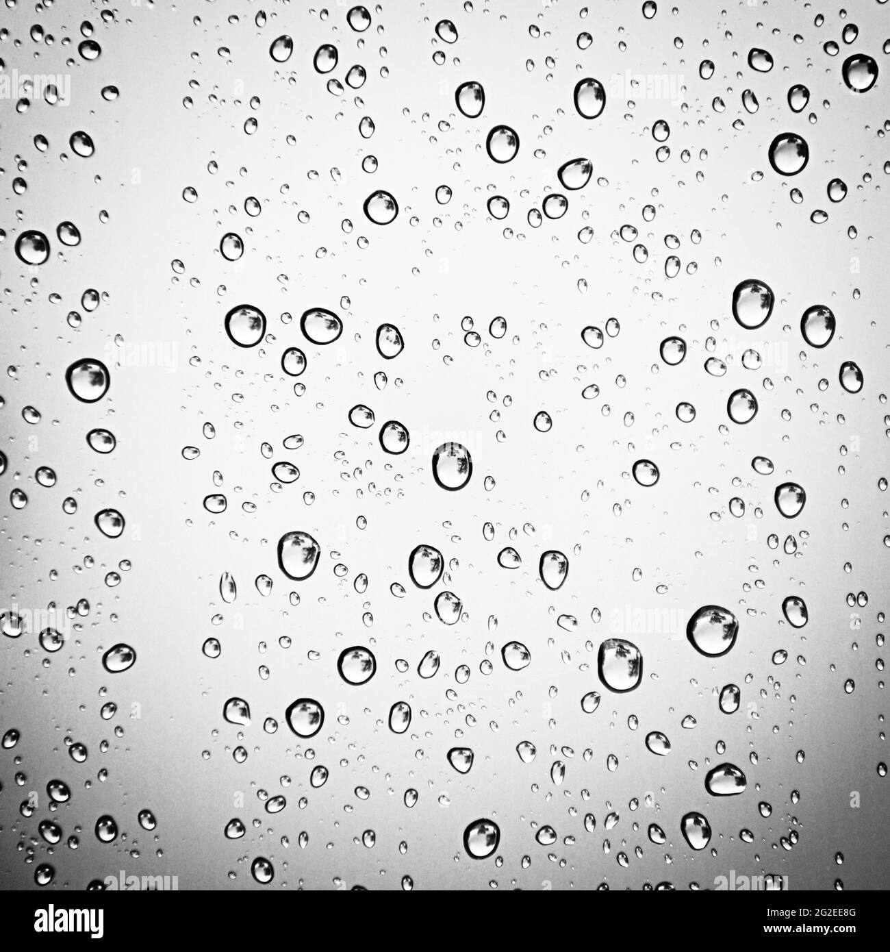 Water drops on gray background Stock Photo