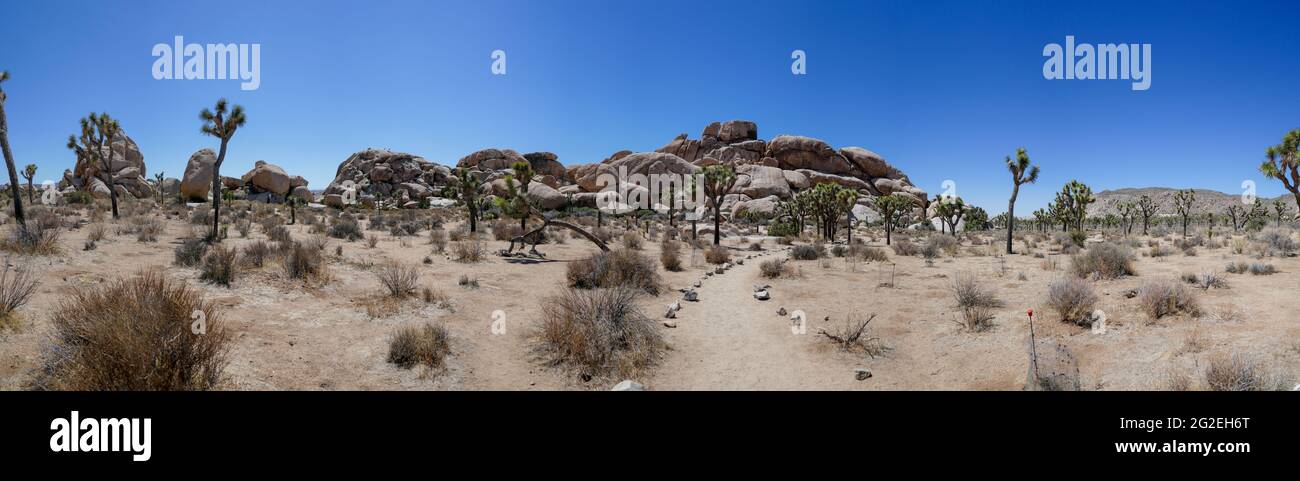Panoramic view of a rocky ridge Boulders, granite mounds create an amazing landscape in Joshua Tree National Park Stock Photo