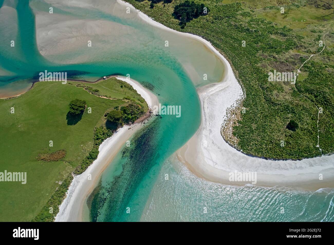 Hoopers Inlet and Allans Beach, Otago Peninsula, Dunedin, South Island, New Zealand - drone aerial Stock Photo