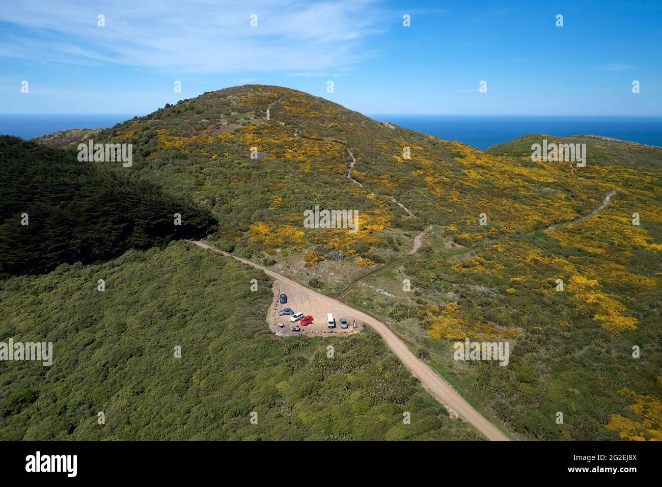 Sandymount, Otago Peninsula, Dunedin, South Island, New Zealand - drone aerial Stock Photo