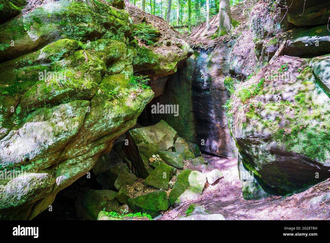 Germany, Gallengrotte cave in green forest landscape of kaisersbach ner welzheim with sunlight shining through the trees on the moss covered rocks Stock Photo