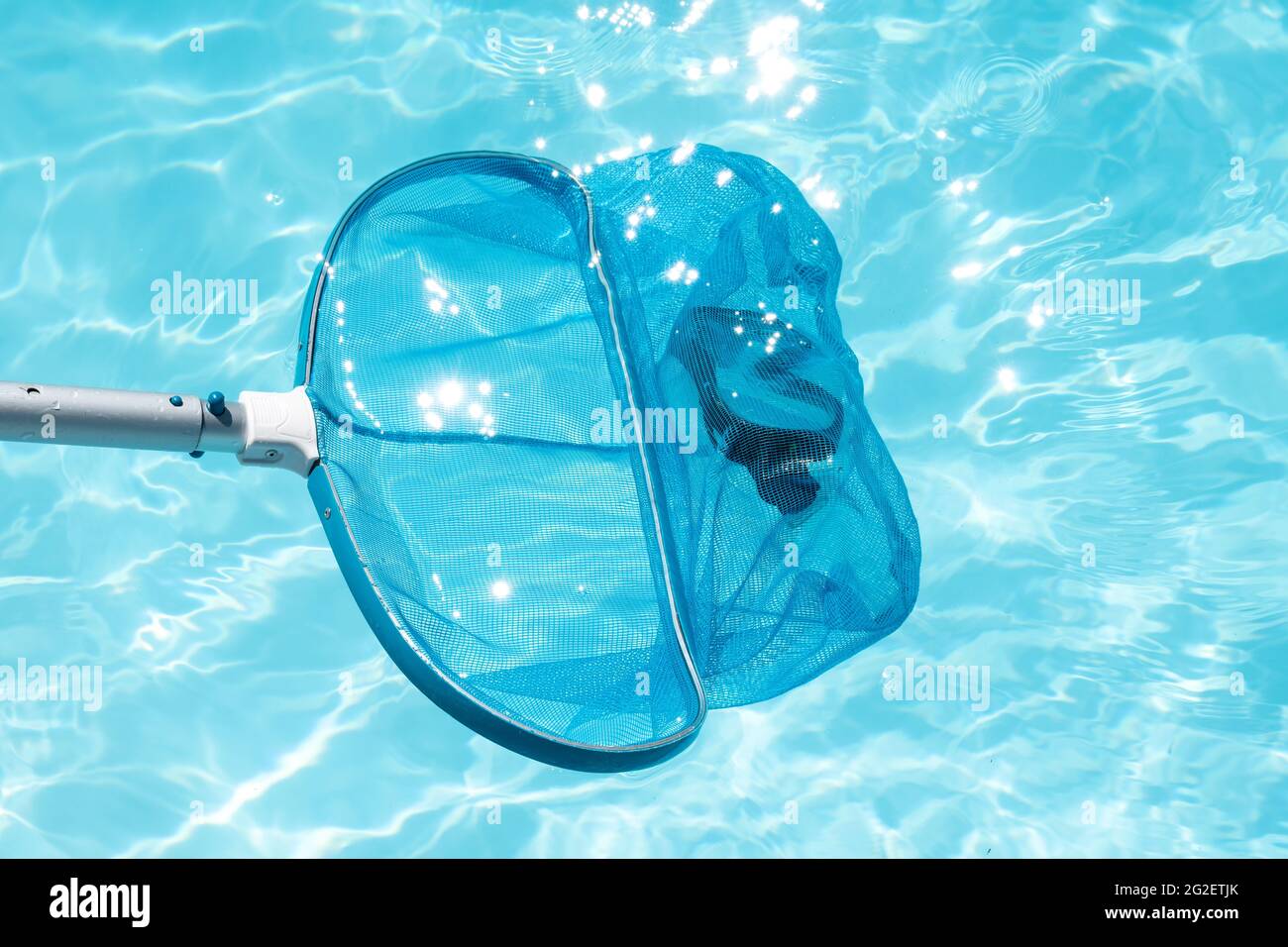 Pool Skimmer cleaning swimming pool. Close up Stock Photo Alamy