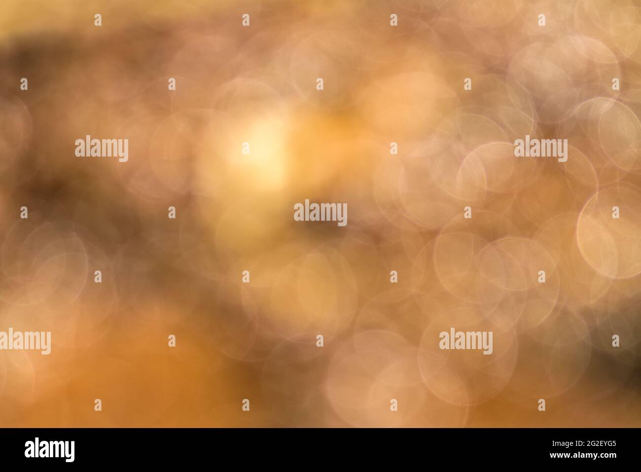 Orange bokeh light on water drop background. Stock Photo