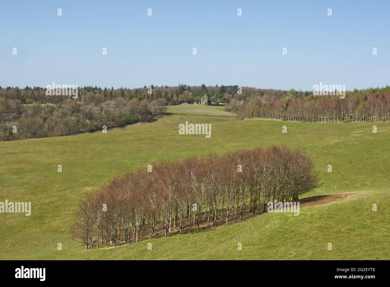 Arundel Park, West Sussex, England. Valley and trees. Stock Photo