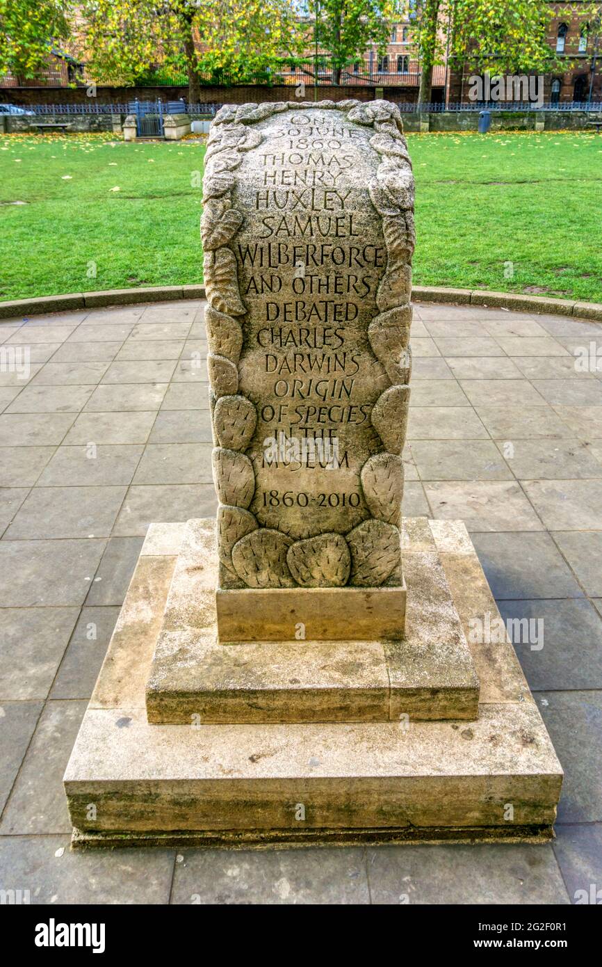 A stone at the Oxford Natural History Museum commemorates the famous 1860 debate between Huxley & Wilberforce on Darwin's Origin of Species. Stock Photo