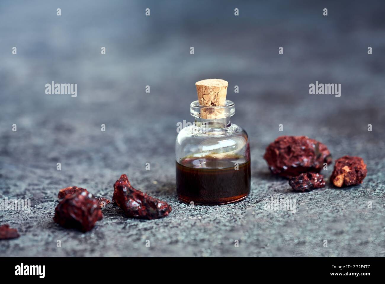 Croton lechleri, or sangre de drago oil and resin Stock Photo Alamy