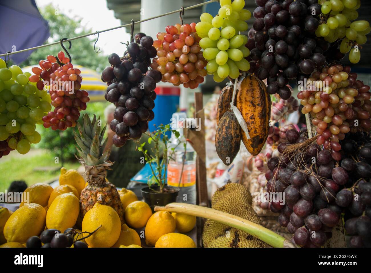 market, cocoa beans, fruta, grape Stock Photo