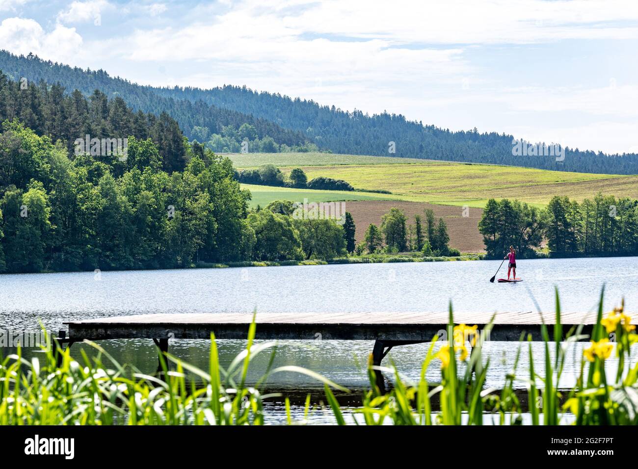 Blaibach, Germany. 11th June, 2021. A woman moves up on a stand-up board. Credit: Armin Weigel/dpa/Alamy Live News Stock Photo