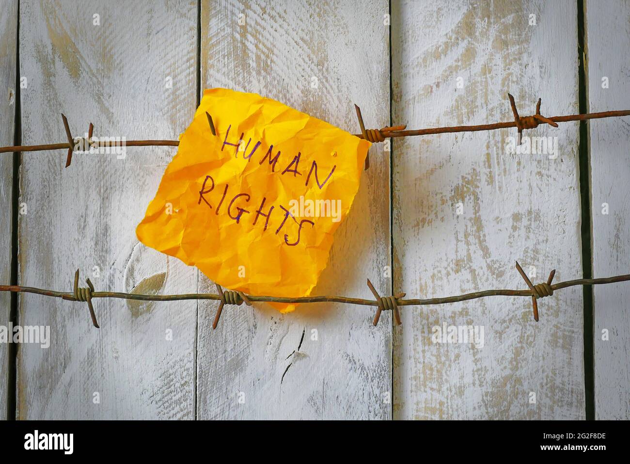 piece of paper with human rights text on barbed wire on wooden wall ...