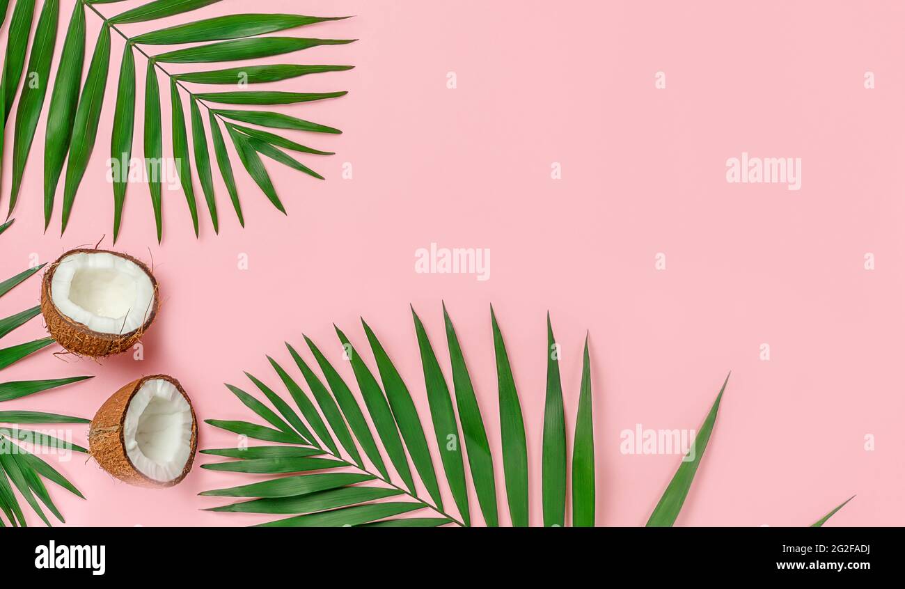 Two coconut halves with palm leaves on pink background. Top view, copy space. Stock Photo