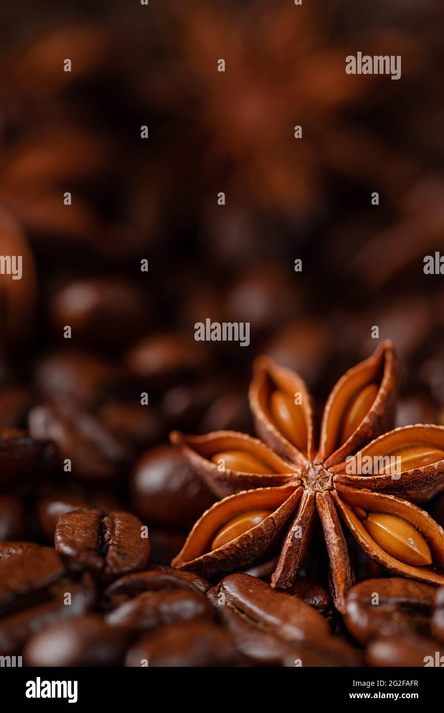 Anise star on roasted coffee beans background. Macro shot, copy space Stock Photo