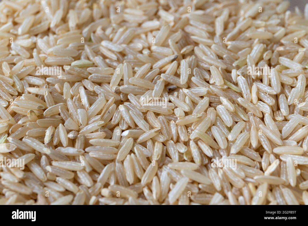 A macro background portrait of a pile of uncooked raw hard whole rice ...