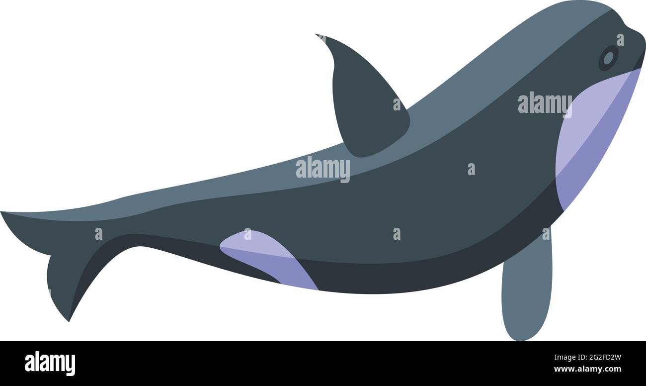 Sea killer whale icon. Isometric of Sea killer whale vector icon for