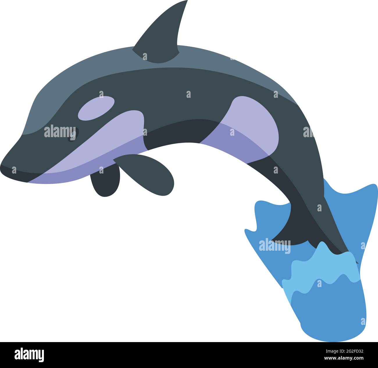 Killer whale icon. Isometric of Killer whale vector icon for web design