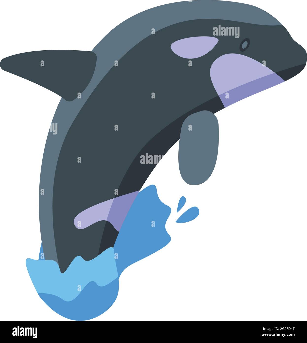 Killer whale show icon. Isometric of Killer whale show vector icon for