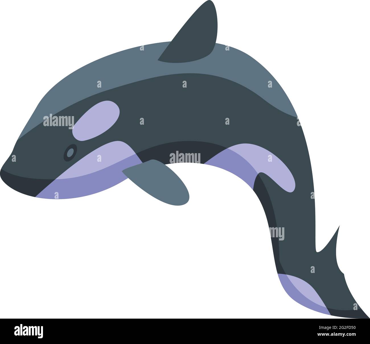 Toothy killer whale icon. Isometric of Toothy killer whale vector icon ...