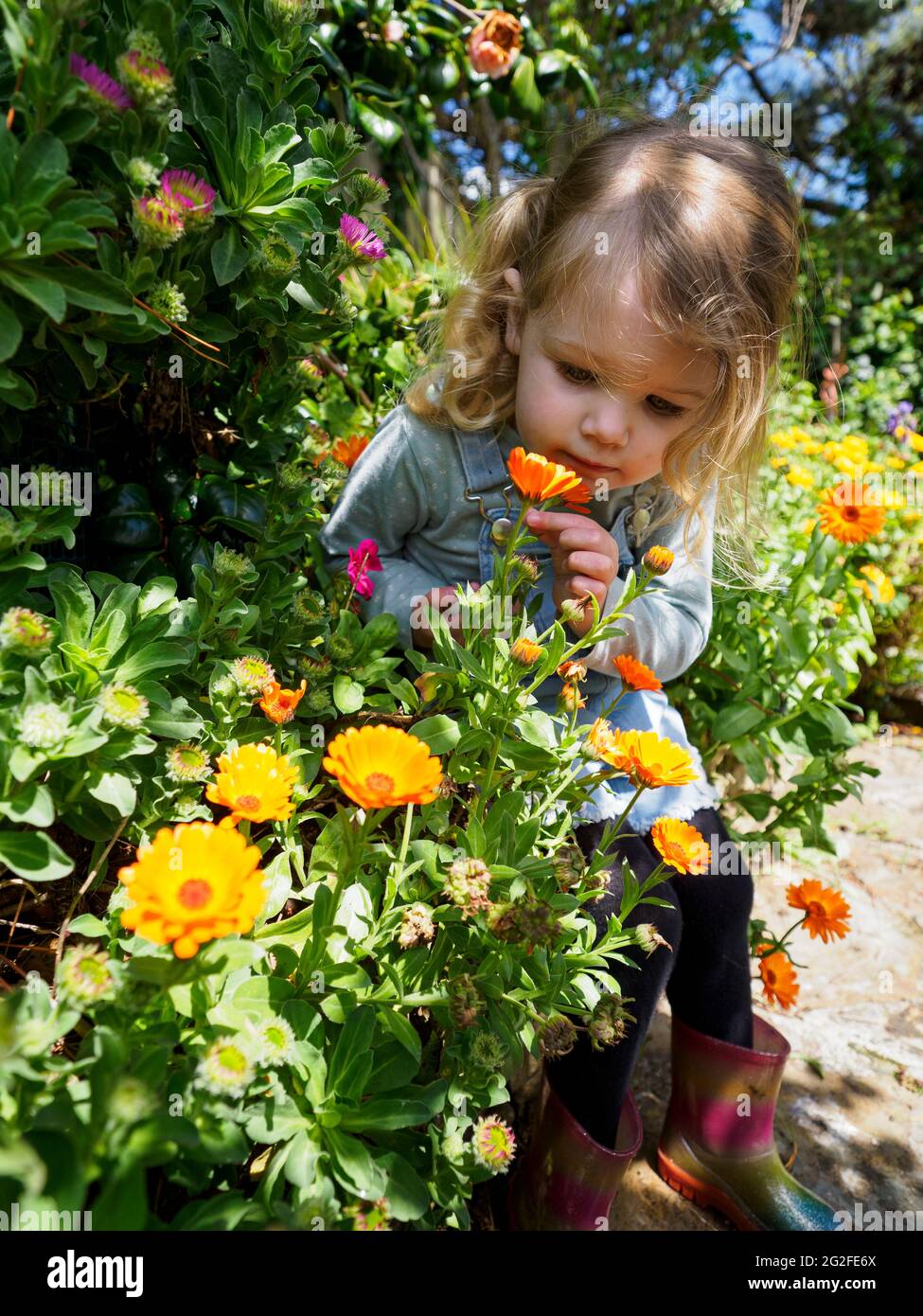 Little child smelling flowers hi-res stock photography and images - Alamy